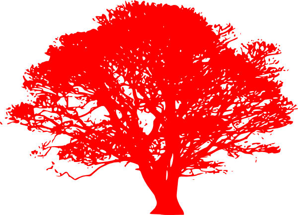 Stop Napa Oaks